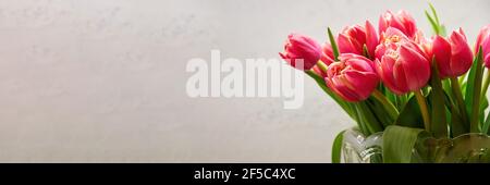 Banner mit buntem Bund eleganter rosa Tulpen in der Kristallvase. Blumen- und Kräuterhintergründe für Frauen und Muttertag mit einem Kopierraum Stockfoto