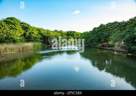 Fluss in der Nähe des öffentlichen Strandes von Albion mit blauem bewölktem Himmel im Hintergrund im Westen von Mauritius. Stockfoto