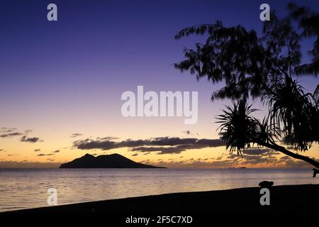 Sonnenaufgang über der Emao Insel in Vanuatu mit Bäumen am Strand im Vordergrund. Stockfoto