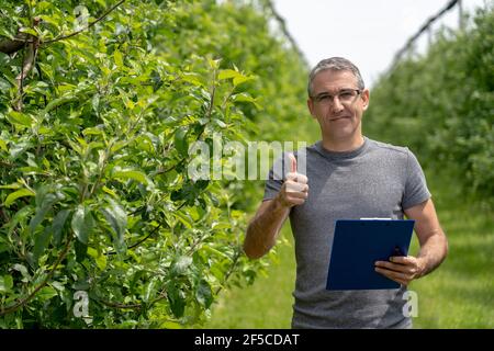 Agronom oder Landwirt stehen in Green Orchard, Blick auf Kamera und zeigt Daumen nach oben. Apfelgarten Mit Hail Protection Netzen. Stockfoto