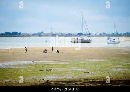 Blick auf Ars-en-ré von la patache auf der Insel ile-de-Ré auf Ebbe mit Booten ruhen und Menschen auf der Suche nach Muscheln an sonnigen Tagen im Sommer Stockfoto