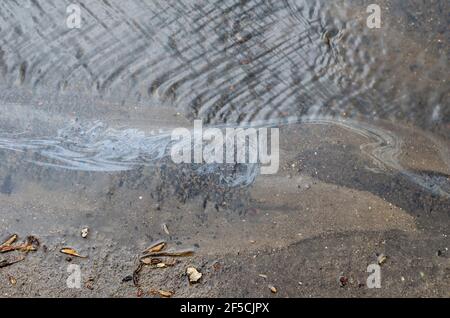 Strom von Regenwasser und Ölprodukten auf dem Asphalt. Abfälle aus der Ölindustrie fließen mit Regenwasser. Umweltprobleme, Umweltverschmutzung. Stockfoto