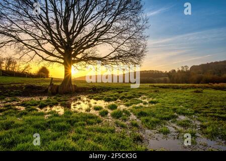 Sonnenaufgang über überflutetem Feld im River Chess Valley, Latimer bei Chesham, The Chilterns AONB, England Stockfoto