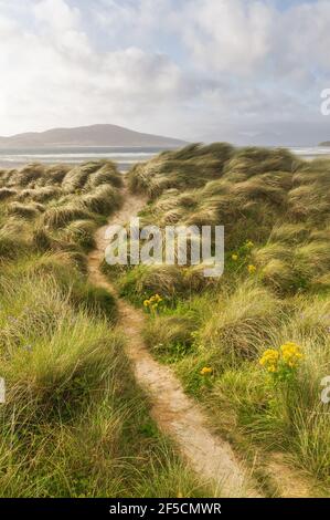 Der Weg in der Mitte der Grasdünen bringt am Luskentire Beach auf der Isle of Harris, Äußere Hebriden Stockfoto