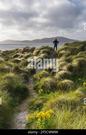 Ein Mann steht auf Grasdünen und bewundert den Luskentire Beach auf der Isle of Harris, Äußere Hebriden Stockfoto