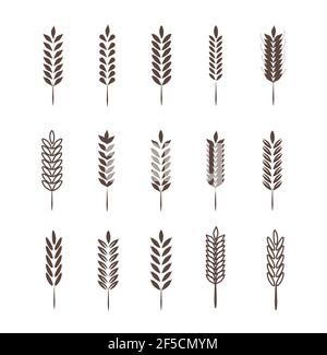 Weizenähren Symbole und Logo. Für die Identität der natürlichen Produkt Unternehmen und landwirtschaftlichen Unternehmen. Bio Weizen, Brot Landwirtschaft und natürliche Essen. Stock Vektor