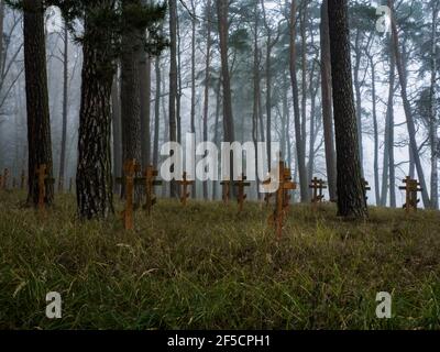 Naturfriedhof tief in Nebelwald während des Frühlings Morgen. Stockfoto