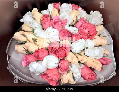 Bunte zarte Rosen Bouquet, blühende Rosen. Rosenblüten Büschel, Natur. Weihnachtsgeschenk, Strauß Rosen Blume. Pastellfarben. Urlaubshintergrund, bi Stockfoto