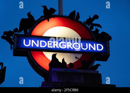 REDAKTIONELLE VERWENDUNG NUR EINE Schar von Modellraven kommt auf die Baker Street Station, um den Start des Supernatural Sherlock Holmes Dramas - The Irregulars auf Netflix, London zu feiern. Bilddatum: Freitag, 26. März 2021. Stockfoto