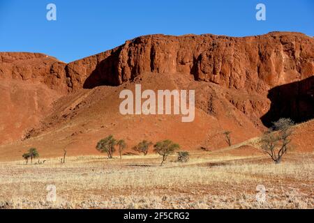 Geographie / Reisen, Namibia, versteinerte Dünen, Godwana Namib Park, bei Sesriem, Hardap-Region, zusätzliche-Rechte-Clearance-Info-nicht-verfügbar Stockfoto