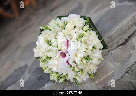 Frischer Frühlingsblumen Hochzeitsstrauß auf einer grauen Betonoberfläche positioniert, schöne Blumenarrangement mit weißen Rosenknospen und Freesias Stockfoto