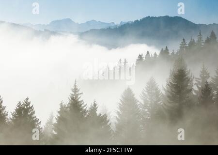 Geographie / Reisen, Schweiz, Blick vom Ratenpass, Zug, Additional-Rights-Clearance-Info-not-available Stockfoto