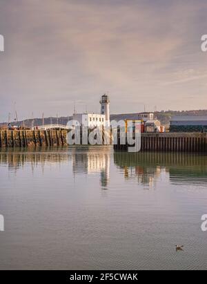 Der Leuchtturm von Scarborough mit einer Verbindungsbrücke. Ein Kai ist auf einer Seite und Möwe ist im Vordergrund. Stockfoto