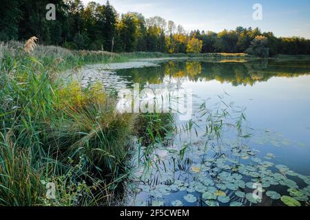 Geographie / Reisen, Schweiz, Burgaeschisee, Solothur, Additional-Rights-Clearance-Info-not-available Stockfoto