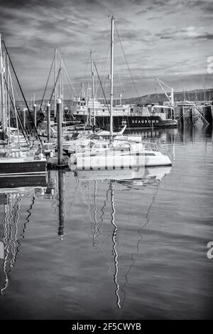 Ein Jachthafen von Yachten liegt mit ihren Spiegelungen im ruhigen Wasser vor Anker. Ein Pier ist jenseits und ein Himmel mit Wolken oben. Stockfoto