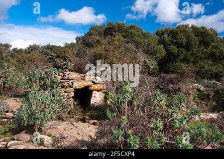 Coili Sa Bovida, Schafstall, basaltischen Hochebene Giara di Gesturi, Marmilla, Provinz Medio Campidano, Sardinien, Italien Stockfoto