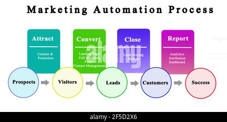Komponenten des Marketing-Automatisierungsprozesses Stockfoto