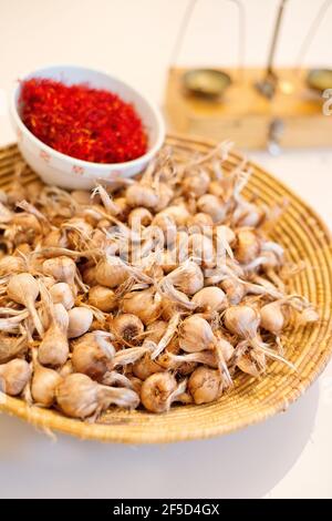 Saffran und Zwiebeln, Blumen und Safrangewürz Stockfoto