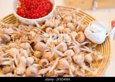 Saffran und Zwiebeln, Blumen und Safrangewürz Stockfoto