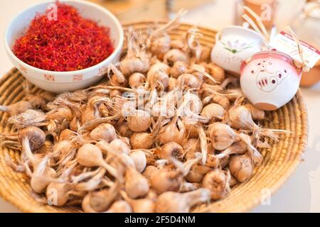 Saffran und Zwiebeln, Blumen und Safrangewürz Stockfoto