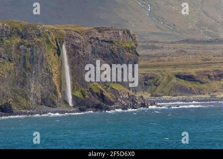 Küste zwischen Arnarstapi und Hellnar, Wasserfall fällt direkt ins Meer, Westisland, Island, Snaefellsnes Stockfoto