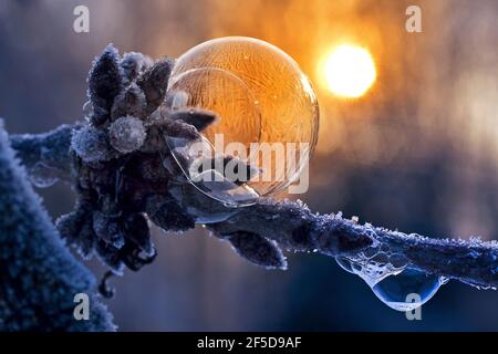 Eiskalte Seifenblasen mit Eiskristallen, Deutschland Stockfoto