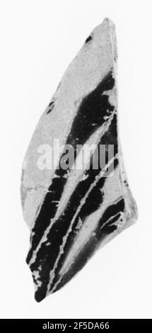 Dachboden Panathenaic Amphora Fragment. Zugeschrieben dem Euphiletos Maler (aktiv um 530 - 510 v. Chr.) Stockfoto