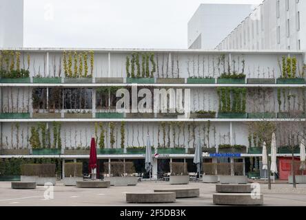 Basel, Schweiz - März 21st 2021: Grüne Fassade des Stuecki Zentrums Stockfoto