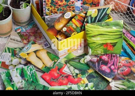 Samenpakete in Aufbewahrungsbox werden für die Frühjahrssaat aussortiert. VEREINIGTES KÖNIGREICH. Stockfoto