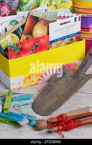 Samenpakete in Aufbewahrungsbox werden für die Frühjahrssaat aussortiert. VEREINIGTES KÖNIGREICH. Stockfoto