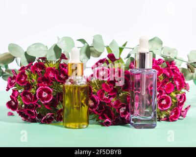 Ätherisches Öl natürliches Beauty-Produkt Vitamin C und Hyaluronsäure Serum in Glasflaschen Stockfoto