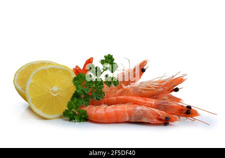 Nahaufnahme von frischen Garnelen mit Zitronenscheiben auf weißem Hintergrund. Stockfoto