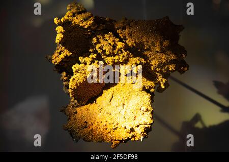 Wulfenit Mineral - Bleierz Stockfoto