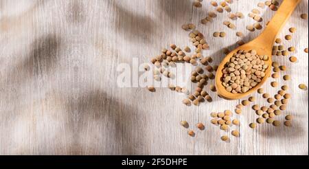 Getrocknete und ungekochte Linsen im Holzlöffel - Lens Culinaris Stockfoto