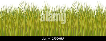 Silhouette von nahtlosem grün-gelbem Gras im Savanna-Stil, Vektor EPS10 Illustration Requisiten für Animation und Dekoration Stock Vektor