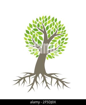 Baum mit Wurzeln Vektorgrafik Stock Vektor