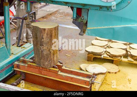 Arbeiter in der Außenschreinerei, Werkstatt schneidet das Log in runden Ring-Platten mit großen industriellen Bandsäge. Stockfoto