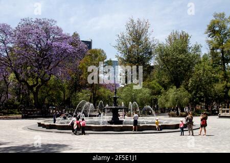 Mexiko-Stadt, Mexiko. März 2021, 25th. MEXIKO-STADT, MEXIKO - MÄRZ 25: Touristen genießen das Fotografieren in einem Brunnen mit einer Landschaft von Jacaranda-Bäumen, auf der Alameda Central, dem ältesten öffentlichen Garten des amerikanischen Kontinents. Am 25. März 2021 in Mexiko-Stadt, Mexiko. (Foto von Eyepix/Sipa USA) Quelle: SIPA USA/Alamy Live News Stockfoto