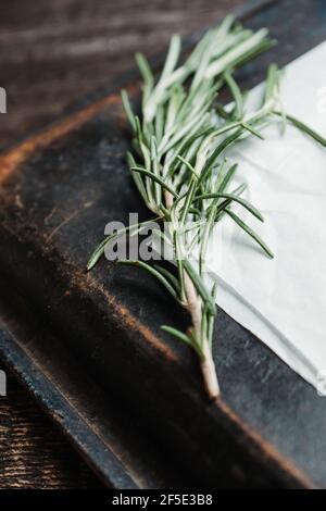 Rosmarinzweig auf dem rustikalen Hintergrund. Selektiver Fokus. Geringe Schärfentiefe. Stockfoto