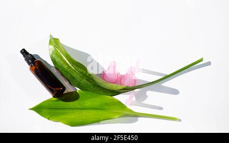 Umweltfreundliche Gesichtspflege. Große grüne Blätter. Massagegläser aus rosa Silikon für das Gesicht. Glasflasche mit Öl oder Hydrolat. Speicherplatz kopieren. Stockfoto