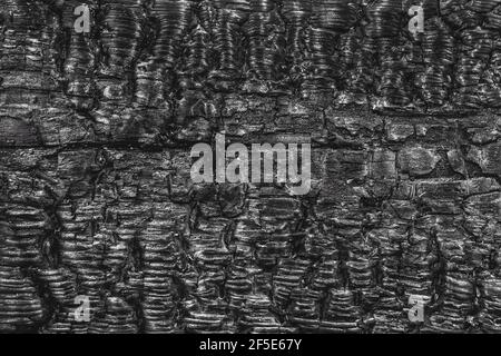 Verbranntes schwarzes Holz Textur, abstraktes Muster Grill Hintergrund. Stockfoto