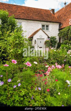 Blumen in einem schönen Hüttengarten in Skirmett, Hambleden Valley, in den Chiltern Hills in der Nähe von Henley-on-Thames; Skirmett, Buckinghamshire, Großbritannien Stockfoto