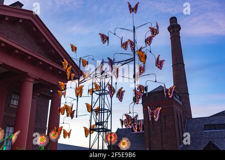 Liverpool. River of Light Trail. 23. März - 5. April 2021. Stockfoto