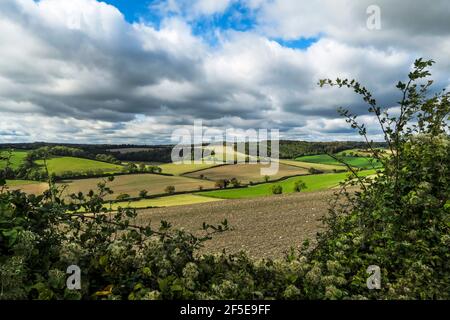 Patchwork-Felder im schönen Stonor Valley zwischen Assendon & Stonor an der Grenze zu Bucks & Oxon in der Nähe von Henley-on-Thames; Stonor, Oxfordshire, Großbritannien Stockfoto