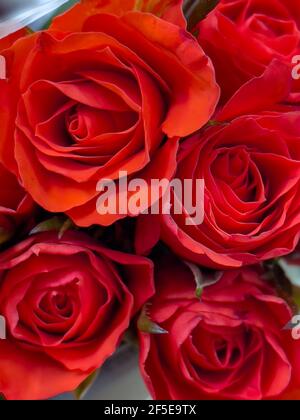 Blumenstrauß Rosenblüte, Nahaufnahme. Rosen zum Verkauf bei Flower Market. Rote Blumen für den Hintergrund. Stockfoto