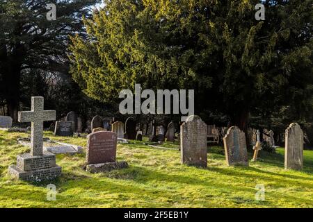 Grabsteine und Eibenbäume auf dem Friedhof der Pishill Parish Church in den Chiltern Hills bei Stonor; Pishill, Oxfordshire, Großbritannien Stockfoto