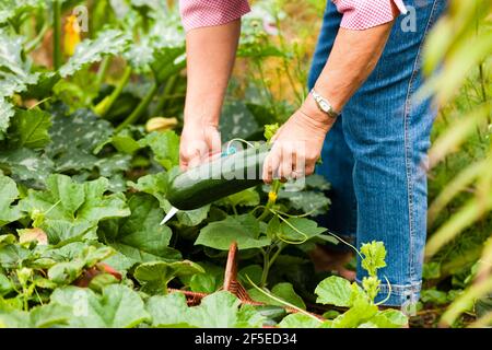 Frau tut Outdoor Stretching mit ihrem persönlichen Trainer auf einem Toller Sommertag Stockfoto