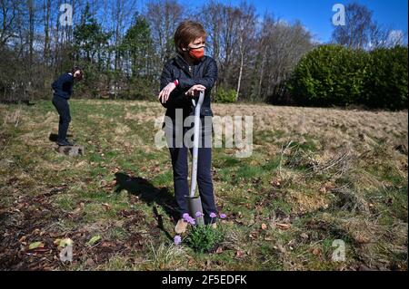 Erste Ministerin, Nicola Sturgeon, Vorsitzende der Scottish National Party, pflanzt Blumen in einem Gemeinschaftsgarten im Overtoun Park, Rutherglen, South Lanarkshire, während sie sich für die schottischen Parlamentswahlen einsetzt. Bilddatum: Freitag, 26. März 2021. Stockfoto