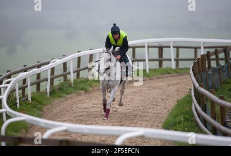 Grand National Gewinner Neptune Collonge mit seinem Trainingsreiter Billy Page in den Paul Nicholls Stables in Ditcheat, Somerset. 22. April 2012. Foto von Adam Gasson. Stockfoto