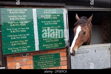 Kauto Star bei Paul Nicholls Stables in Ditcheat, Somerset. 22. April 2012. Foto von Adam Gasson. Stockfoto